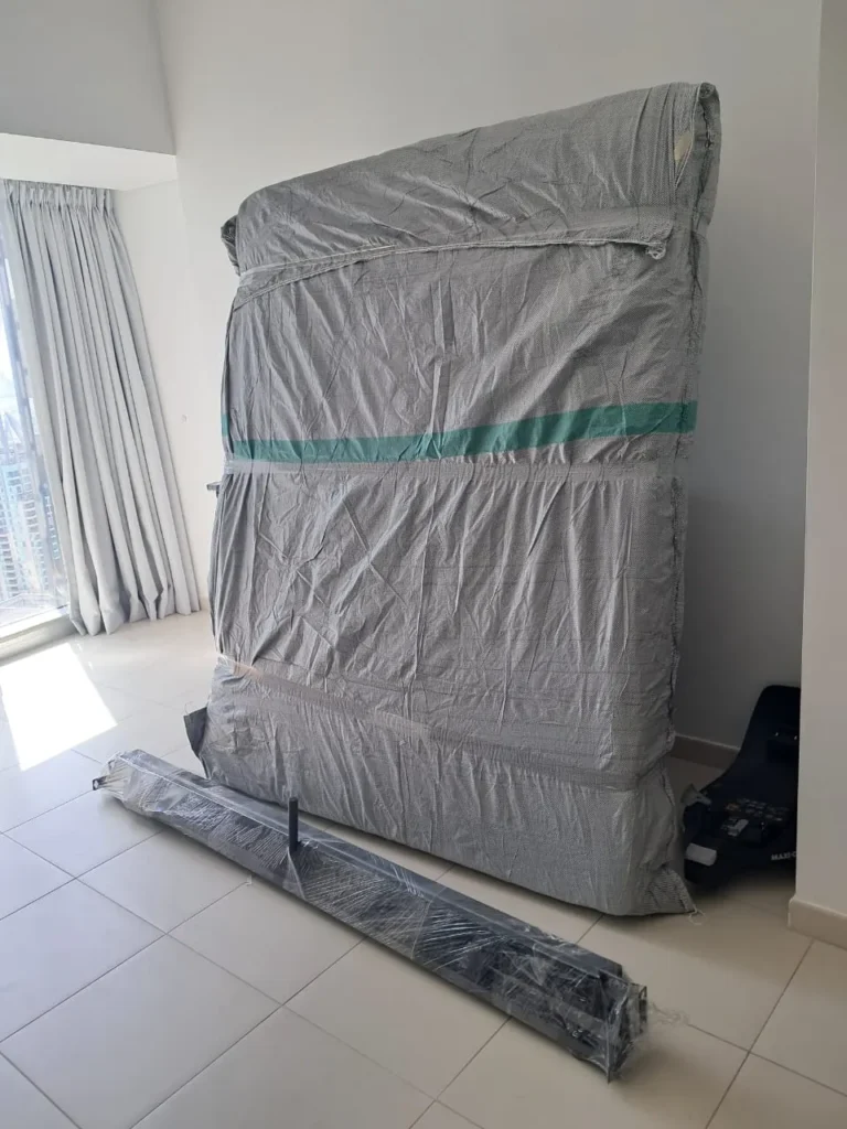 Movers and Packers in Mira Oasis